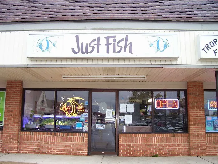 Just Fish Picture 3