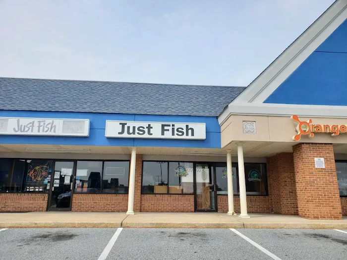 Just Fish Picture 4