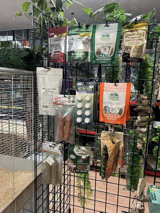 HM's Reptiphibians Exotic Pet Store Picture 2