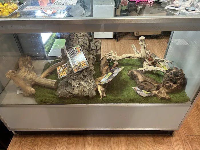 HM's Reptiphibians Exotic Pet Store Picture 3