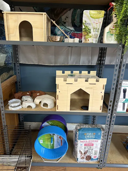 HM's Reptiphibians Exotic Pet Store Picture 4
