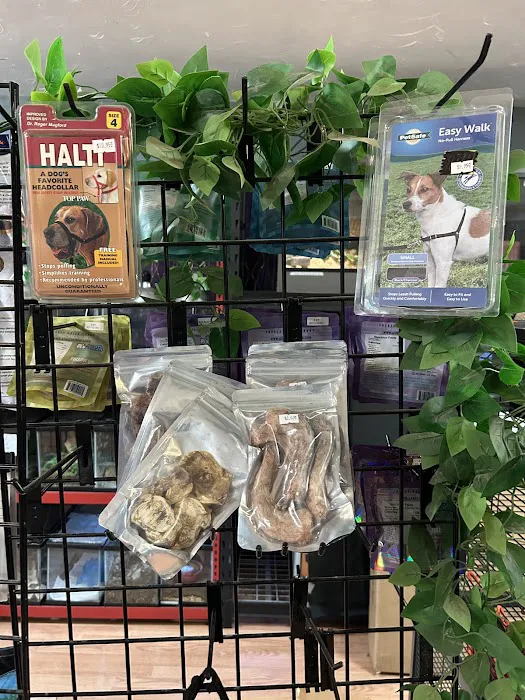 HM's Reptiphibians Exotic Pet Store Picture 7