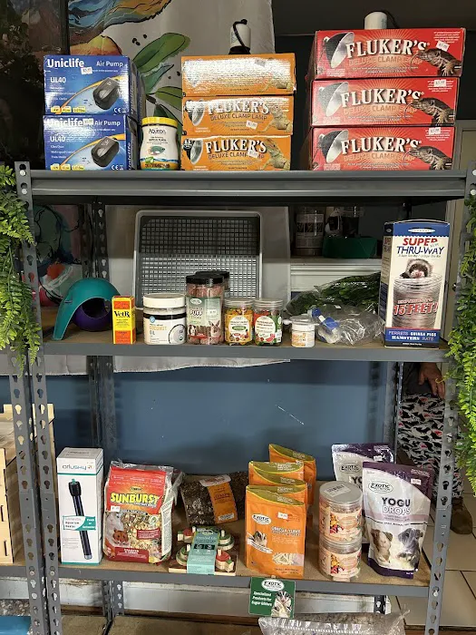 HM's Reptiphibians Exotic Pet Store Picture 8