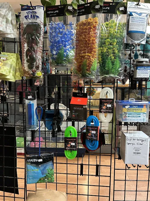 HM's Reptiphibians Exotic Pet Store Picture 10