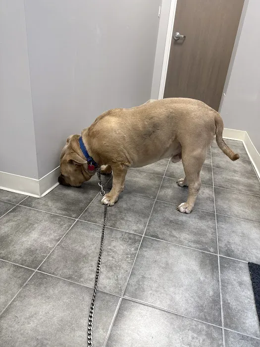 Monroe Parke Veterinary Hospital Picture 8