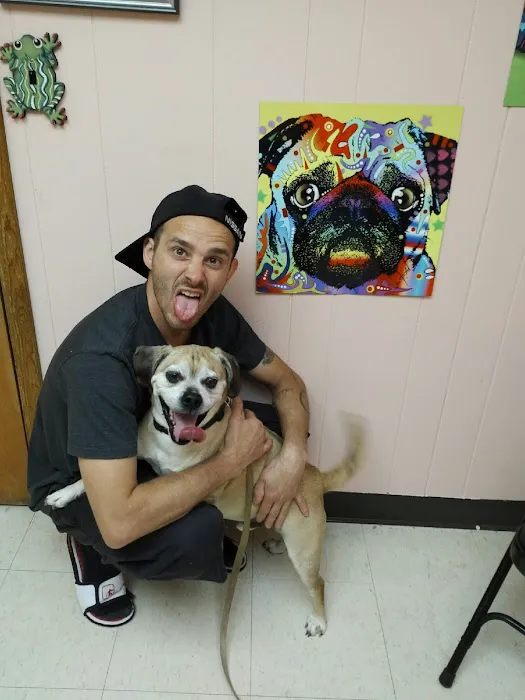 Town & Country Veterinary Services Picture 2