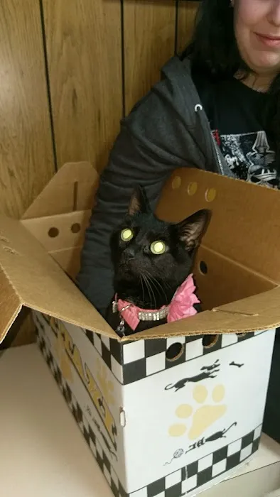 Town & Country Veterinary Services Picture 3