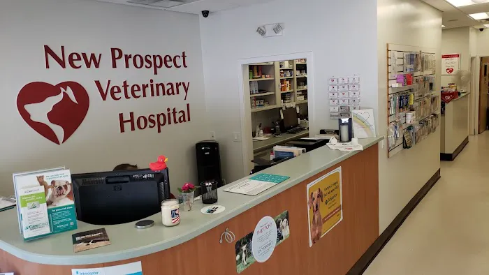 VCA New Prospect Animal Hospital Picture 3