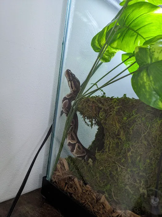 Global Pets Picture 5