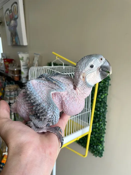 Global Pets Picture 10