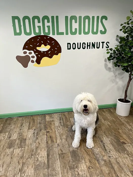 Doggilicious Doughnuts K9 Bakery Picture 1