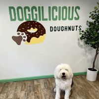 Doggilicious Doughnuts K9 Bakery ico