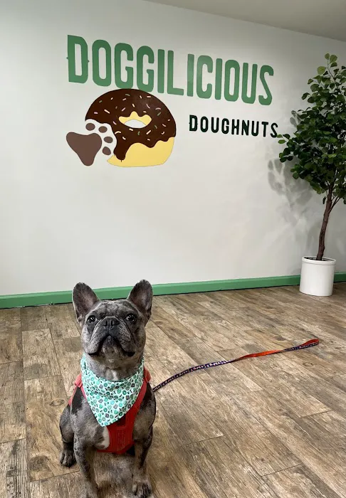 Doggilicious Doughnuts K9 Bakery Picture 3