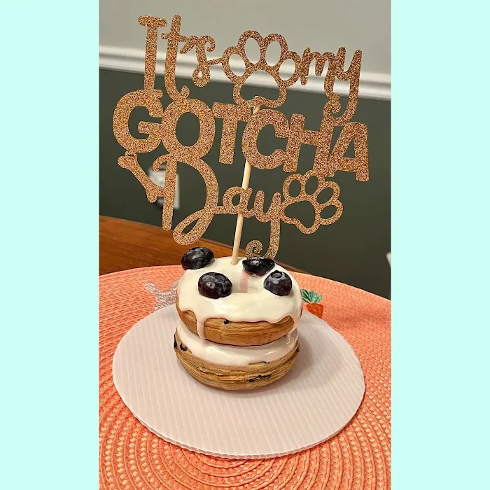Doggilicious Doughnuts K9 Bakery Picture 10