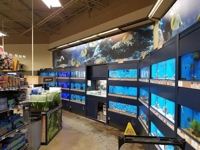 Petco Picture 2