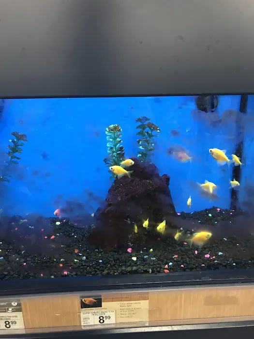 Petco Picture 9