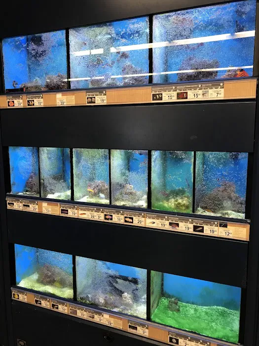 Petco Picture 10