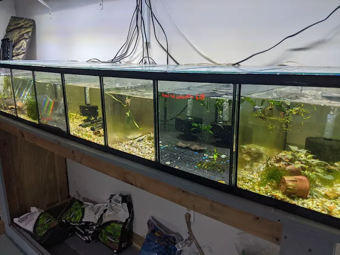 Alpha Aquatic Arts (formerly The Purrfect aquarium) Picture 1