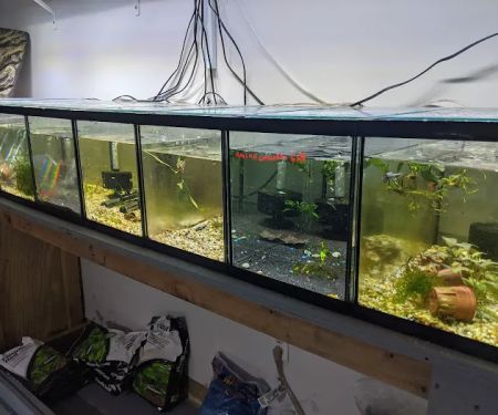 Alpha Aquatic Arts (formerly The Purrfect aquarium)
