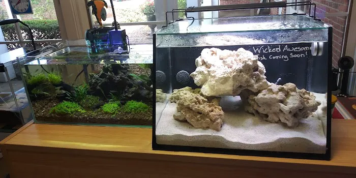 Alpha Aquatic Arts (formerly The Purrfect aquarium) Picture 6