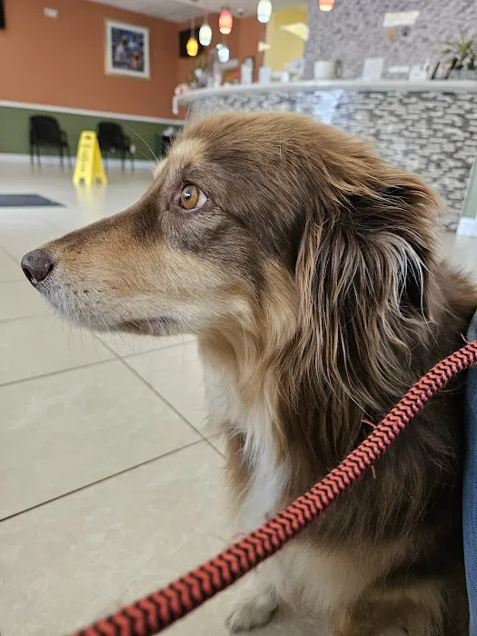 Howell Animal Hospital Surgical and Diagnostic Center Picture 7