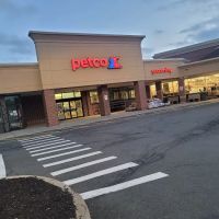 Petco ico