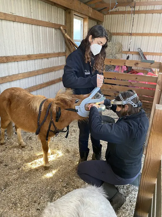 Coastal Elite Veterinary Services Picture 3