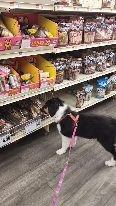 Pet Supplies Plus Manchester Picture 5