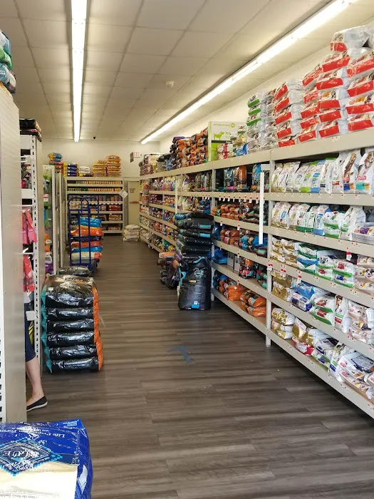 Pet Supplies Plus Manchester Picture 10