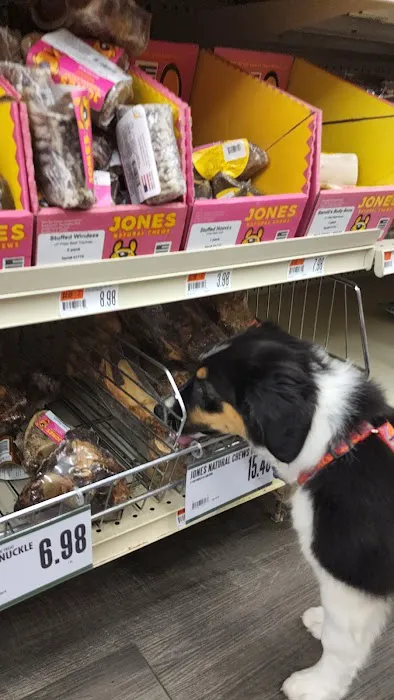 Pet Supplies Plus Manchester Picture 9