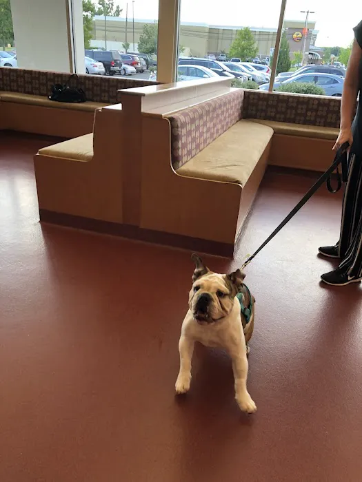True Care Veterinary Hospital Picture 4