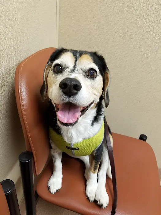 True Care Veterinary Hospital Picture 10