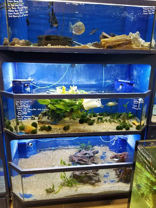 Aquatic Wildlife Co Picture 2
