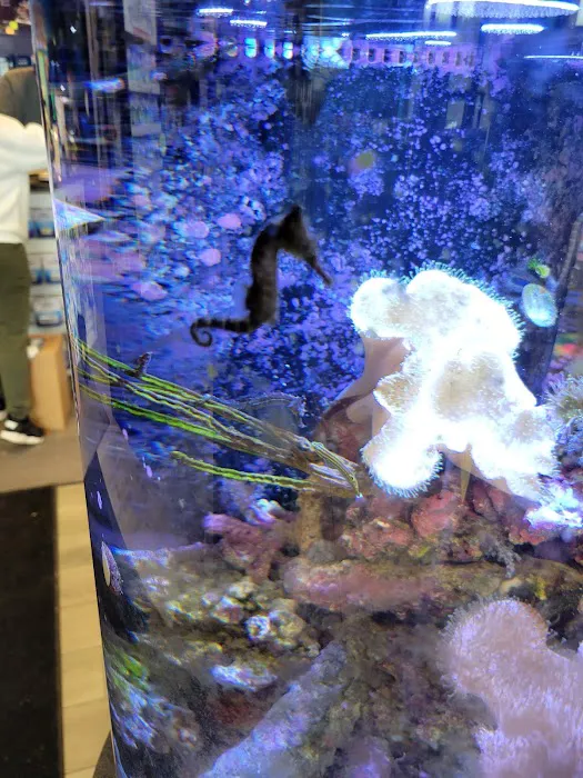 Aquatic Wildlife Co Picture 4