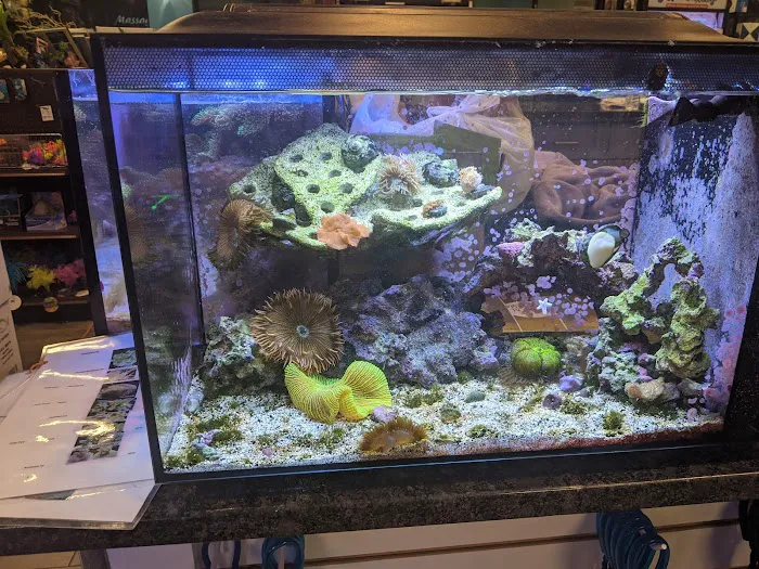 Aquatic Wildlife Co Picture 10