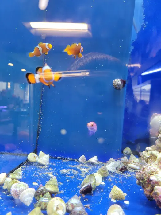 Aquatic Wildlife Co Picture 8