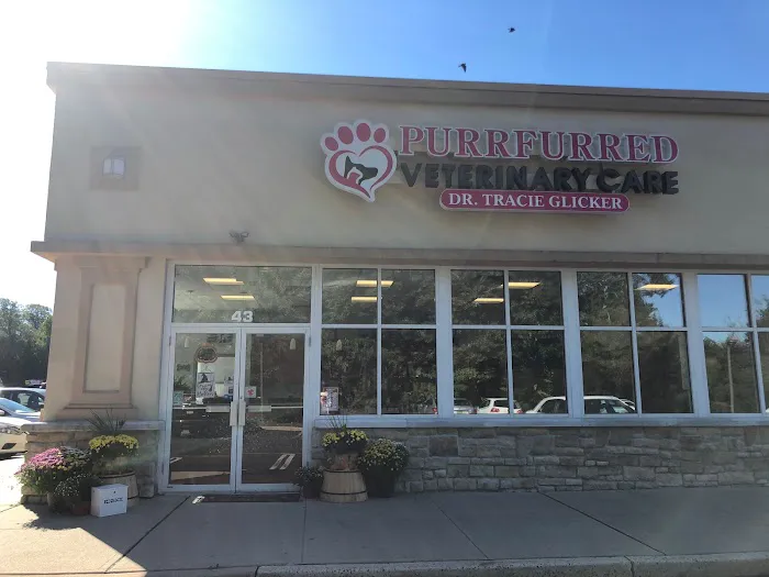 Purrfurred Veterinary Care with Dr. Tracie Glicker Picture 9