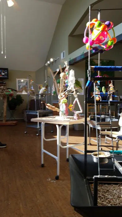 Parrot & Bird Emporium Inc Picture 3