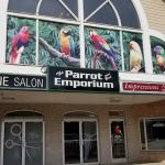 Parrot & Bird Emporium Inc