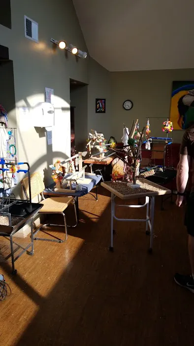 Parrot & Bird Emporium Inc Picture 6