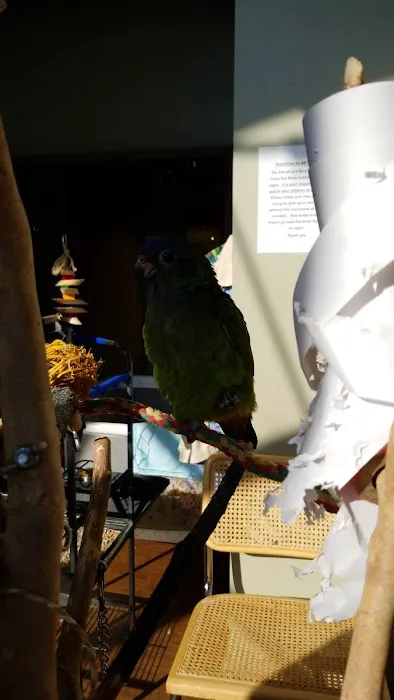Parrot & Bird Emporium Inc Picture 4