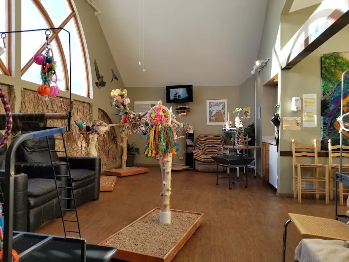 Parrot & Bird Emporium Inc Picture 10