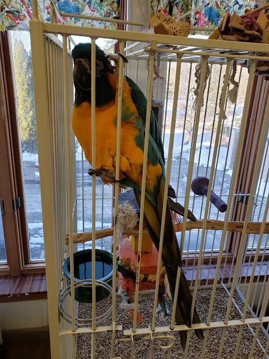 Parrot & Bird Emporium Inc Picture 9