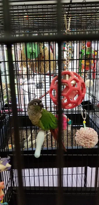 Parrot & Bird Emporium Inc Picture 8