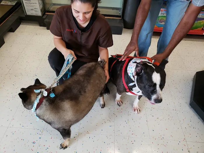 Petco Picture 3