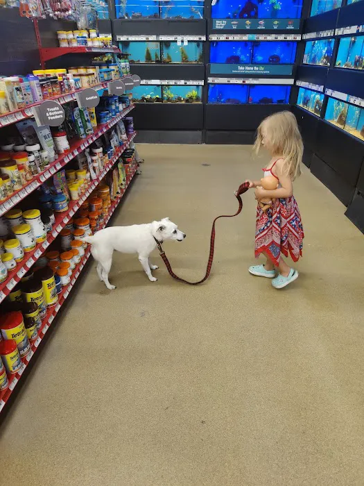 Petco Picture 2