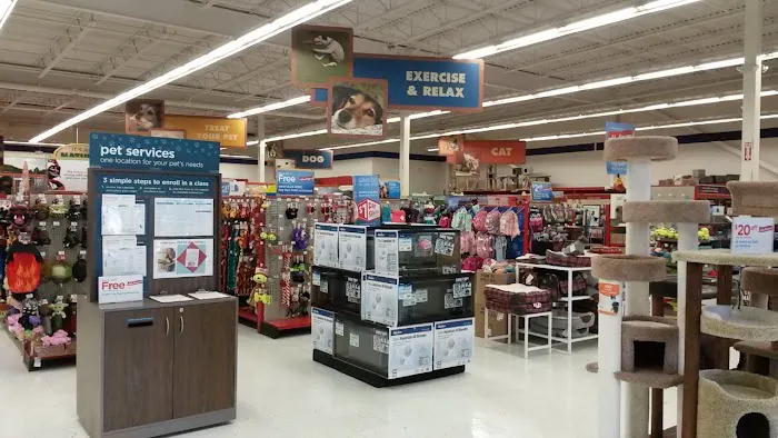 Petco Picture 5