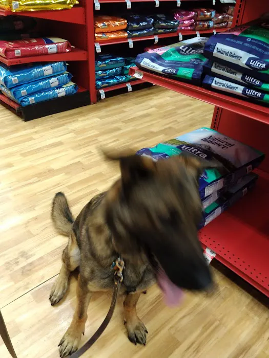 Petco Picture 9