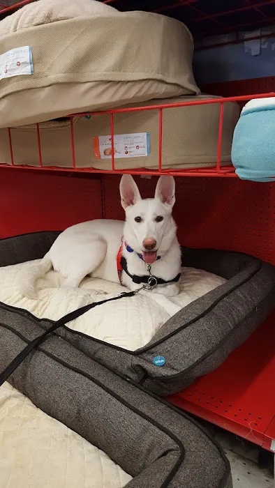Petco Picture 10