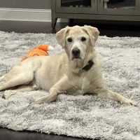 Jamesburg Veterinary Hospital ico